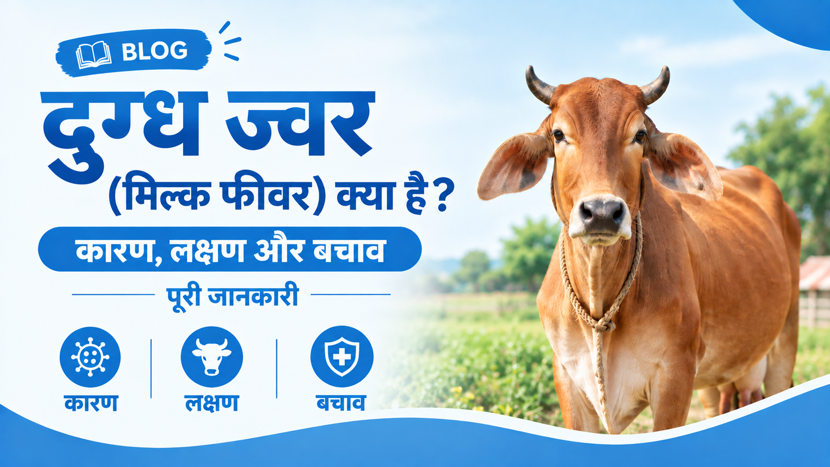 दुग्ध ज्वर (मिल्क फीवर) क्या है? कारण, लक्षण और बचाव पूरी जानकारी