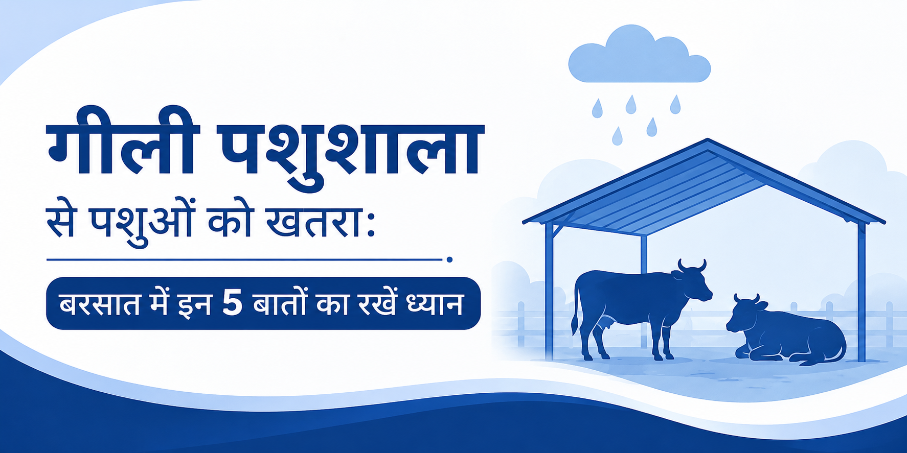 गीली पशुशाला से पशुओं को खतरा: बरसात में इन 5 बातों का रखें ध्यान